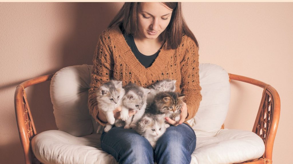 Ragazza seduta, con tanti gattini sulle ginocchia. Imparare come proteggere gli animali dal freddo è importante