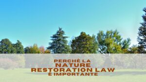 Perché la Nature Restoration Law è importante
